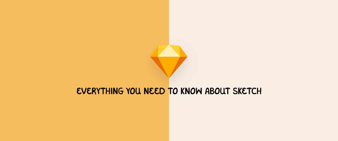 Everything You Need To Know About Sketch